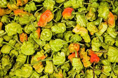 免费多人射击游戏《拾荒者》将于12月关服